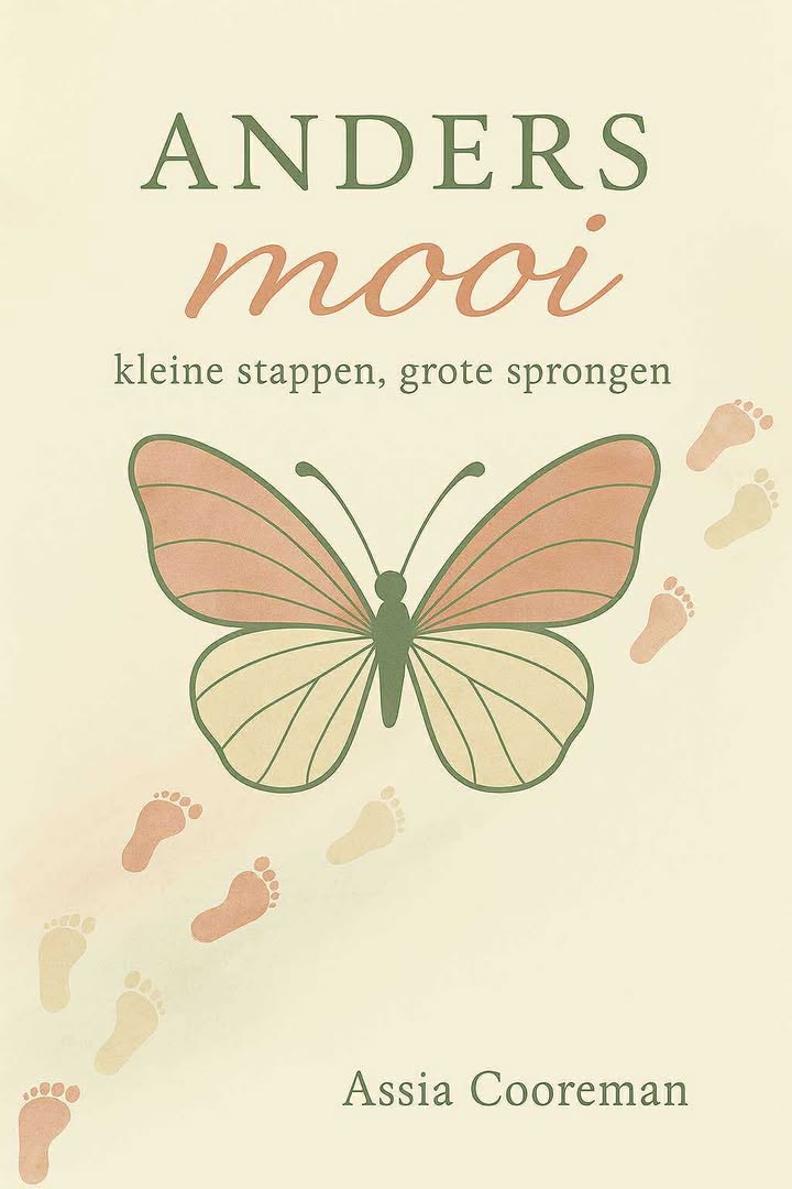 Boek Anders mooi, kleine stappen, grote sprongen